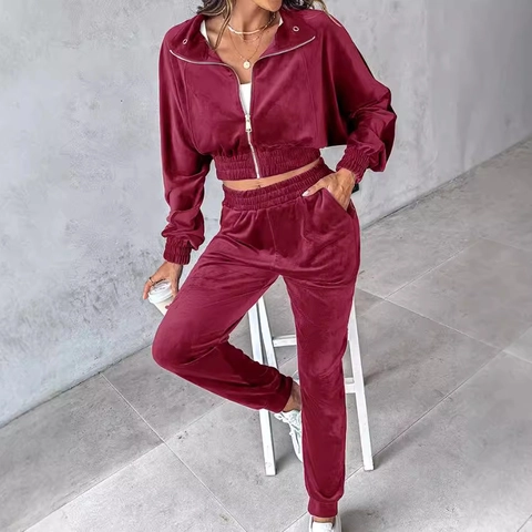 Dames Casual Gouden Fluweel Trainingspak Effen Kleur Lange Mouw Rits Crop Top En Hoge Taille Joggingbroek