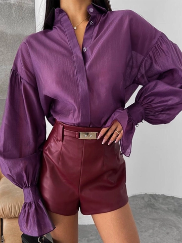 Elegant Women Long Sleeve Sheer Shirt Lantern Sleeve Button Down Lapel Blouse Casual Loose Silk Texture Office Lady Tops