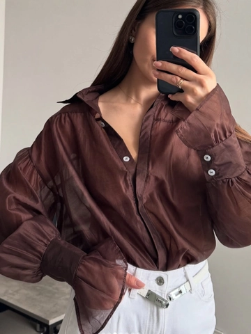 Elegant Women Long Sleeve Sheer Shirt Lantern Sleeve Button Down Lapel Blouse Casual Loose Silk Texture Office Lady Tops