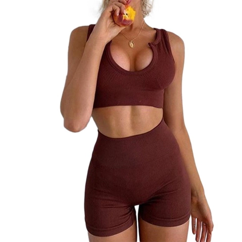 Women Seamless Ribbed Yoga Set V-Neck Crop Top And High Waist Shorts Athletic Fitness Workout Gym Activewear Suit