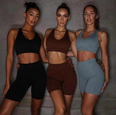 Ribbed Seamless Yoga Workout Outfit Breathable Nylon Blend Racerback Crop Top And High Waist Biker Shorts For Women Fitness