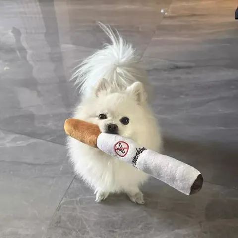Divertente Giocattolo Peluche per Animali con Suono Simulazione Sigaretta Carota Coscia di Pollo Resistente ai Morsi per Cani