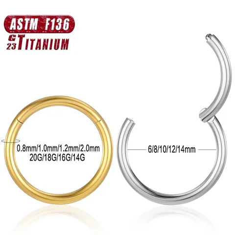Anneau de Segment en Titane ASTM F136 G23 Anneau de Nez Circulaire Clicker sans Soudure Boucles d'Oreilles Bijoux de Piercing Unisexe Style Punk