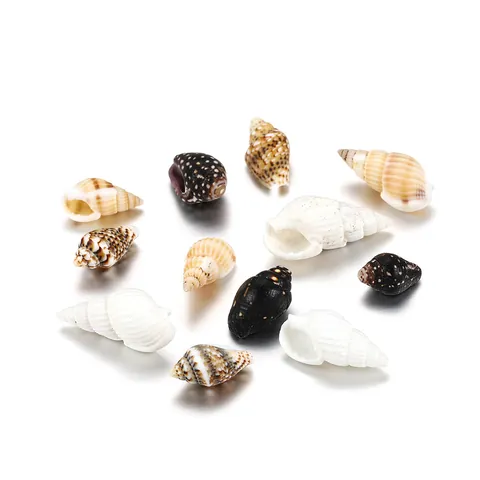Natürliche Mini Muscheln Gemischte Stile Kleine Spiralmuscheln Für Schmuckherstellung Basteln Scrapbooking Aquarium Heimdekor