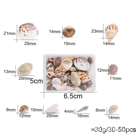 Natural Sea Shells Mixed Conch Shells For DIY Jewelry Making Crafts Home Aquarium Decoration Ocean Theme Party Decor