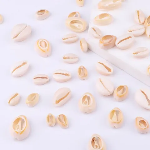 Natural Cowrie Shell Beads For Jewelry Making DIY Earrings Necklaces Wind Chime Dreamcatcher Hanging Craft Home Decoration Accessories