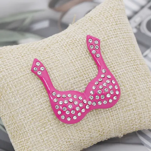 Fashion Women Pink Bra and Ribbon Brooch Pins Alloy Rhinestone Breast Cancer Awareness Jewelry Gifts for Clothes Bags