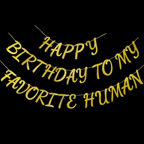 Glitter Happy Birthday To My Favorite Human Banner Set DIY Party Decoration Cardstock Letters Garland For Birthday Anniversary