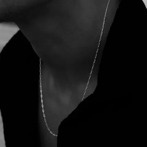 French Vintage 316L Stainless Steel Paperclip Link Necklace For Women Minimalist PVD 18K Gold Plated Chain Choker Jewelry Gift