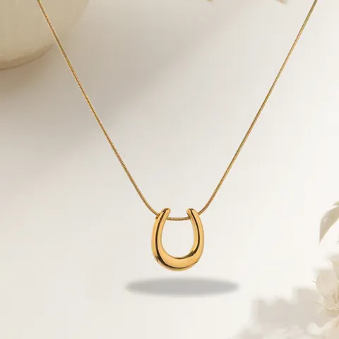 Minimalistische Hufeisen-Halskette aus Edelstahl für Damen U-Form Gold Silber Beschichtet Schlangenkette Schlüsselbein Schmuck