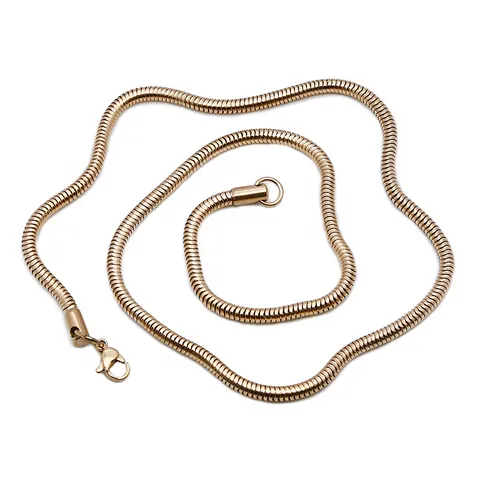 Minimalist Stainless Steel Snake Chain Necklace Gold Silver Rose Gold Plated Unisex Snake Bone Chain Fashion Jewelry Accessory