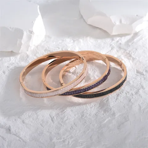 Orecchini Rigidi in Acciaio al Titanio Placcato Oro Rosa 18K Retro Semplice per Donna Bracciale Geometrico con Apertura a Cerniera Gioielli