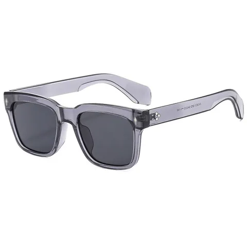 Retro Quadratische Sonnenbrille Für Damen Herren Vintage PC-Rahmen AC-Linse UV400 Schutz Nieten Dicker Rahmen Sonnenbrille Täglich Party Mode Brillen