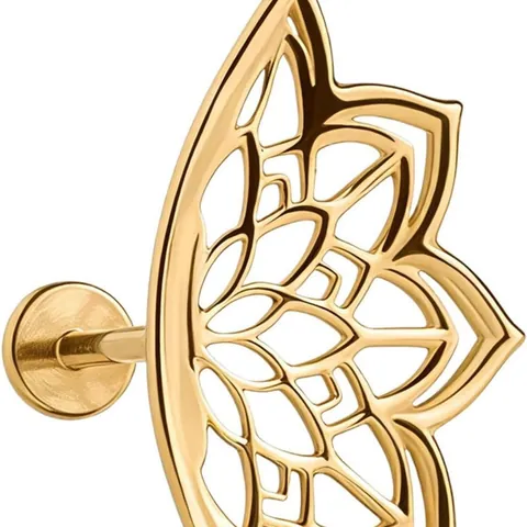 Boucles d'Oreilles Piercing Helix Mandala Lotus Acier Inoxydable 316L Titane Plaqué Or Argent Bijoux Ethniques Bohème Pour Femme Homme