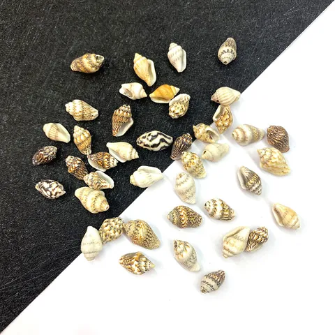 Natürliche Gemischte Meeresschnecken Muscheln Für DIY Schmuckherstellung Handwerk Aquarium Fischbecken Landschaftsbau Haus Dekoration Nautische Accessoires
