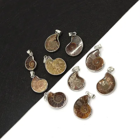 Natural Ammonite Fossil Pendant Snail Shape Spiral Stone Charm With Metal Wrap For DIY Jewelry Making Necklace Accessories