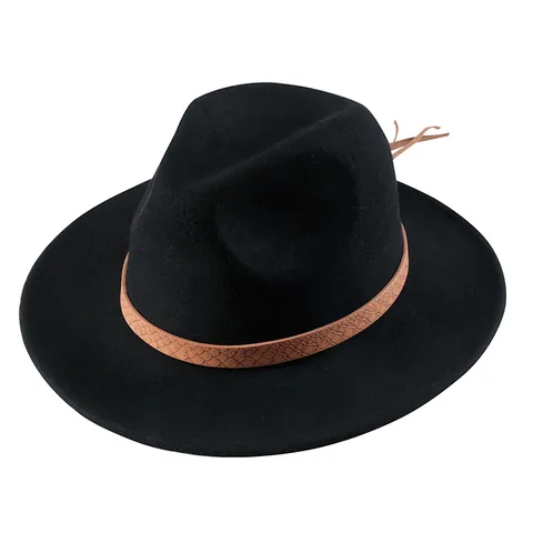 Pure Wool Felt Wide Brim Fedora Hat British Style Retro Jazz Hat with Snake Pattern Belt Tassel for Men Women