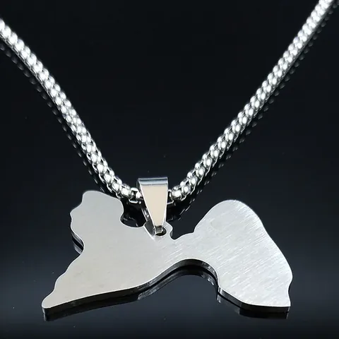 Collar con Colgante del Mapa de Guadalupe de Acero Inoxidable para Mujeres Hombres Color Plateado Cadena de Caja Joyería de Geografía Regalo de Recuerdo