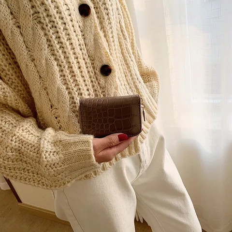 Porte-cartes Accordéon en Cuir PU à Motif Crocodile pour Femme Mini Portefeuille à Fermeture Éclair Étui à Cartes