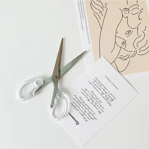 Forbici in Acciaio Inossidabile con Manico Trasparente Minimalista Cancelleria Ufficio Casa Scrapbooking Art Taglio Forbici