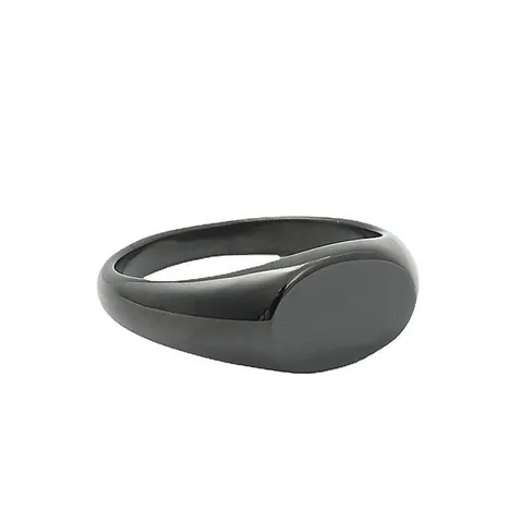 Minimalistische 316 Roestvrijstalen Ovalen Zegelring Glad Oppervlak Gepolijst Retro Punk Stijl Ring Voor Heren Dames