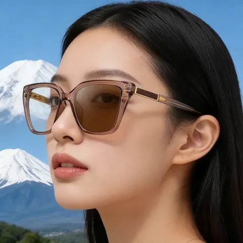 Occhiali da Sole Fotocromatici Occhio di Gatto da Donna Moda Filtro Luce Blu Con Cerniera a Molla Protezione UV400