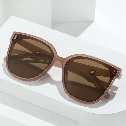 Oversized Cat Eye Gepolariseerde Zonnebril Voor Dames Heren Mode Retro Kunststof Metalen Montuur UV400 Bescherming Rivet