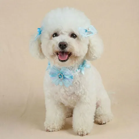 Pet Dog Cat Lolita Style Lace Bow Collar And Hair Clips Accessories Set Princess Faux Artificial Pearl Rhinestone Pet Decoration