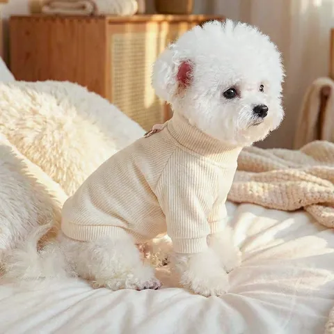 Weicher Rippstrick Haustier Pullover Mit D-Ring Leinenbefestigung Für Kleine Hunde Katzen Welpen Warme Polyester Weste Cremeweiß Kleidung