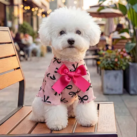 T-Shirt en Maille Nervurée Doux pour Chien Chat Saint-Valentin Rose Nœud Ourlet à Volants Vêtements Confortables pour Chiot