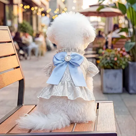 Pet Dog Lace Dress Elegant Blue Satin Bow Rhinestone Cat Puppy Princess Apparel Skirt For Small Dogs Teddy Bichon Pomeranian