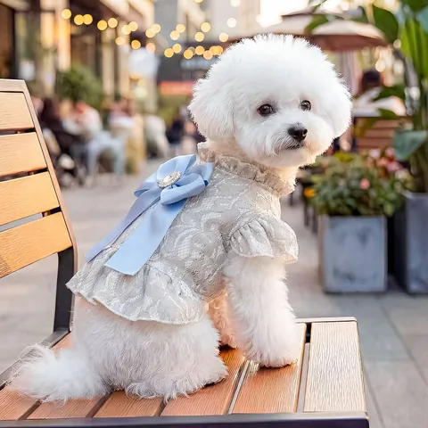 Pet Dog Lace Dress Elegant Blue Satin Bow Rhinestone Cat Puppy Princess Apparel Skirt For Small Dogs Teddy Bichon Pomeranian