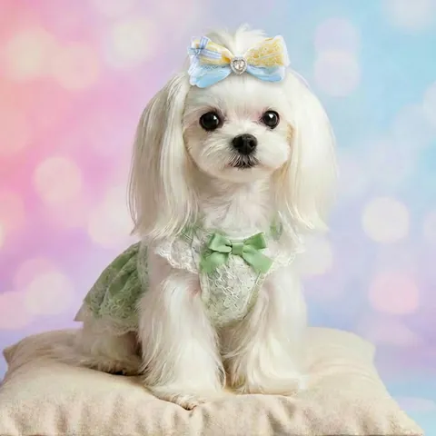 Barrettes à Nœud Mignonnes pour Animaux de Compagnie avec Strass Perle Ruban pour Petits Chiens Chats Mariage Fête