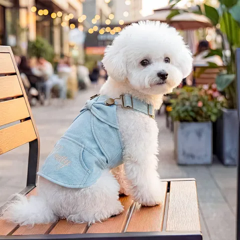 Vestido de Mezclilla para Mascotas Arnés Perro Gato Lazo Bordado Chaleco Ajustable Cachorro Ropa de Primavera Otoño Exterior