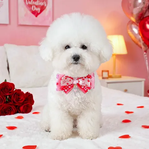 Valentinstag Haustier Schleife Halsband Mit Herzanhänger Verstellbar Hund Katze Halstuch Polyester Legierung Romantisch Haustierzubehör