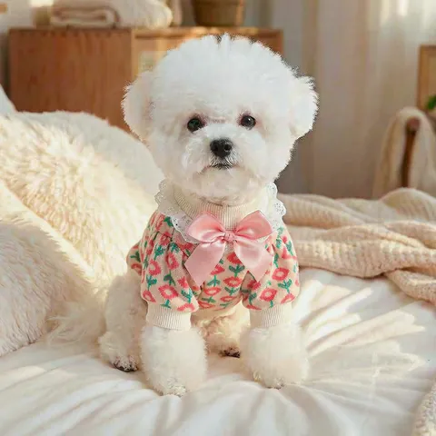 Sweet Pet Knit Sweater With Lace Collar Bowknot Tulip Floral Pattern And Leash D-Ring Small Dogs Cats Puppy Kitten Clothes