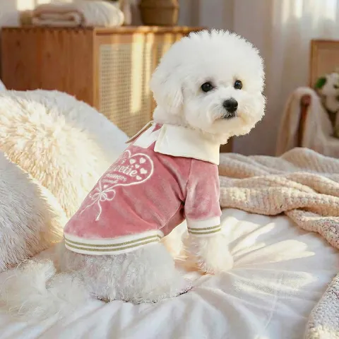 Haustier Hund Samt Polo Shirt Herz Buchstabe Stickerei Lässig Weich Welpenbekleidung Für Kleine Hunde Katzen Rosa Blau