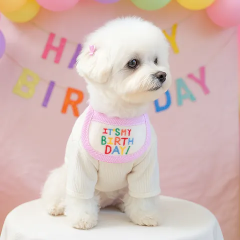 Pet Dog Cat Birthday Christmas Bib Saliva Towel Party Costume Accessories With Adjustable Strap Embroidered Cartoon Design