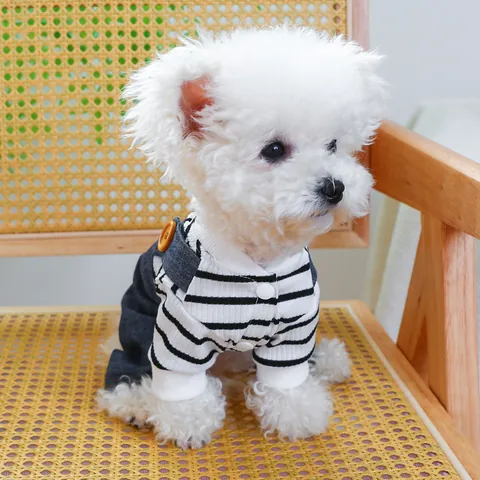 Haustier Hund Latzhose Set Gestreiftes Langarmshirt Und Denim Hosenträgerhose Mit Bärenstickerei Für Kleine Mittlere Hunde Kleidung