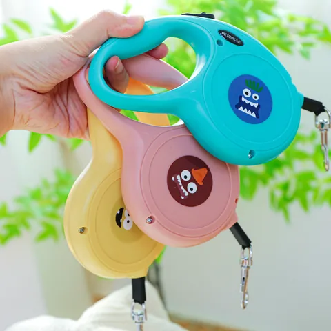 Dog Leashes & Collars