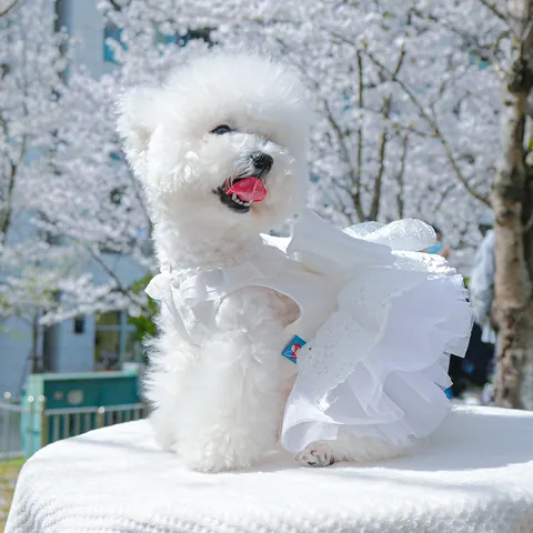 Haustier Hund Hochzeitskleid Weiß Spitze Prinzessin Tutu Rock Mit Perlen Schleife Für Kleine Mittlere Hunde Katzen Braut Party Bekleidung