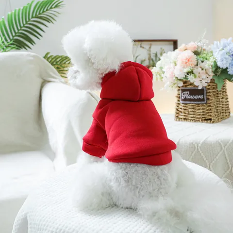 Haustier Hund Katze Hoodie Einfarbig Lässig Polyester Warm Kapuzenpullover Für Kleine Mittlere Welpen Kätzchen Haustiere Kleidung
