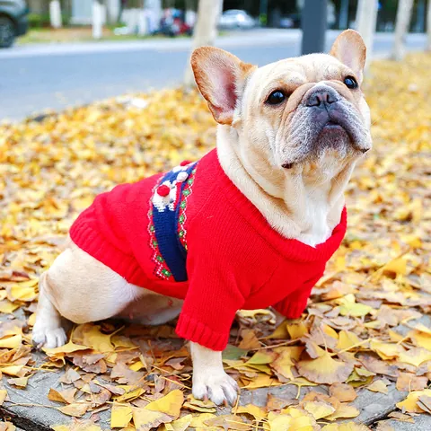 Christmas Pet Dog Sweater Knitted Warm Polyester Red Santa Claus Reindeer Pattern Beige Pom Pom Decorative Outfit For French Bulldog
