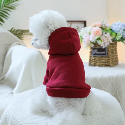 Haustier Hund Katze Hoodie Einfarbig Lässig Polyester Warm Kapuzenpullover Für Kleine Mittlere Welpen Kätzchen Haustiere Kleidung