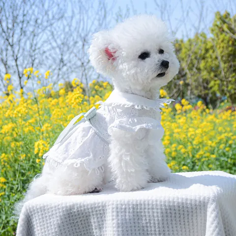 Sweet Lace Pet Dog Dress Small Puppy Princess Skirt Floral Denim Pet Clothes Breathable Tutu For Small Medium Dogs Cats