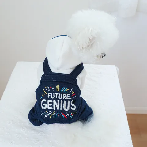 Pet Dog Cat Winter Warm Hoodie Overalls Waffle Fabric Fleece Lining Letter Embroidery Suspender Pants Puppy Clothing