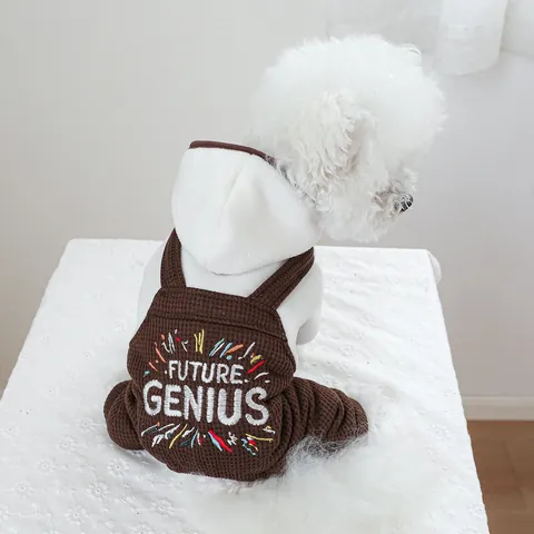 Pet Dog Cat Winter Warm Hoodie Overalls Waffle Fabric Fleece Lining Letter Embroidery Suspender Pants Puppy Clothing