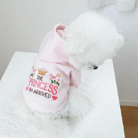 Huisdier Hond Kat Hoodie Polyester Zacht Warm Sweatshirt Prinses Prins Letter Borduursel Twee-benige Kleding Voor Kleine Middelgrote Honden