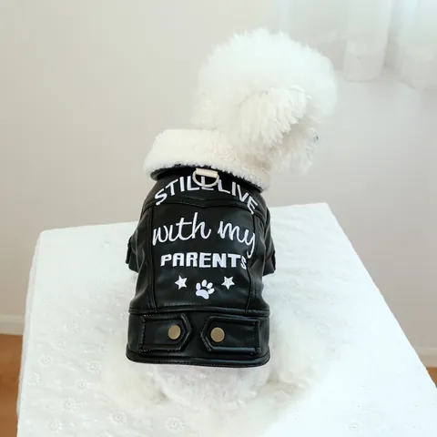 Cool Pet Leather Jacket For Dogs Cats Warm Faux Lamb Wool Collar Biker Coat With Slogan Embroidery Metal Leash D-Ring