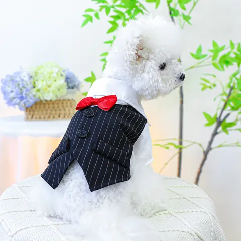 Huisdier Gentleman Tuxedo Pak Met Vlinderdas Gestreepte Hond Kat Formele Kleding Voor Bruiloft Feest Kleine Middelgrote Dieren